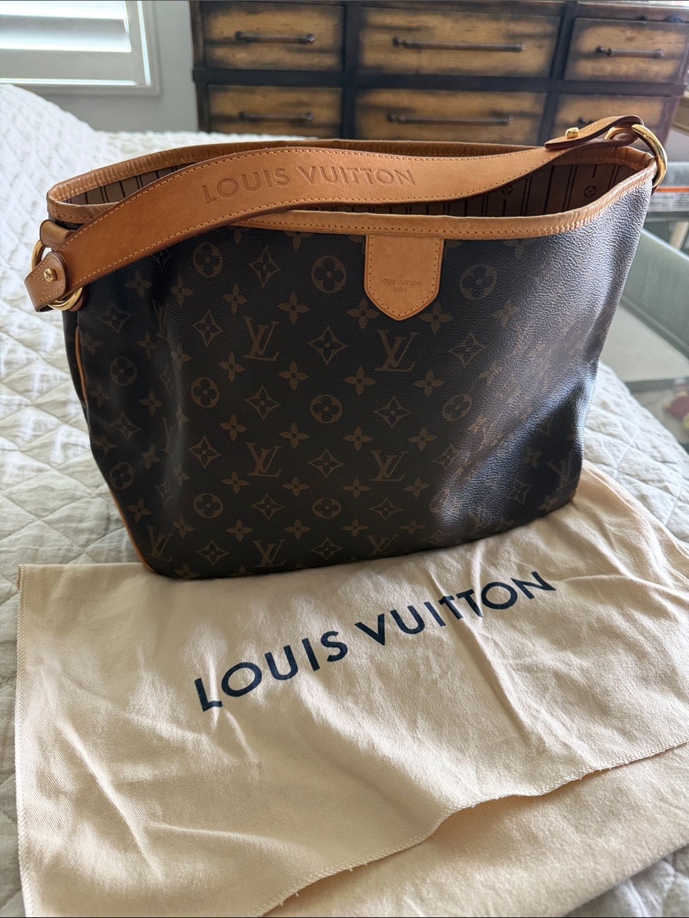 Louis Vuitton Delightful MM Monogram Hobo Bag